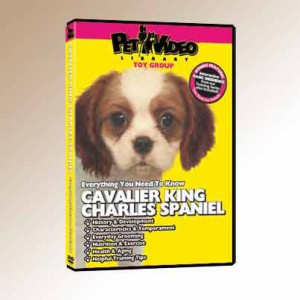 cavalier-king-charles-dvd.jpg