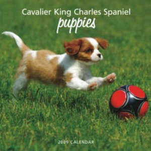 cavalier-king-charles-spaniels-calendar.jpg